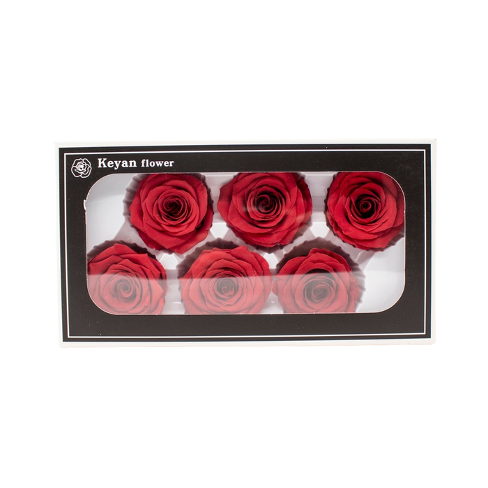 FOREVER ROSES 6PCS RED 6CM