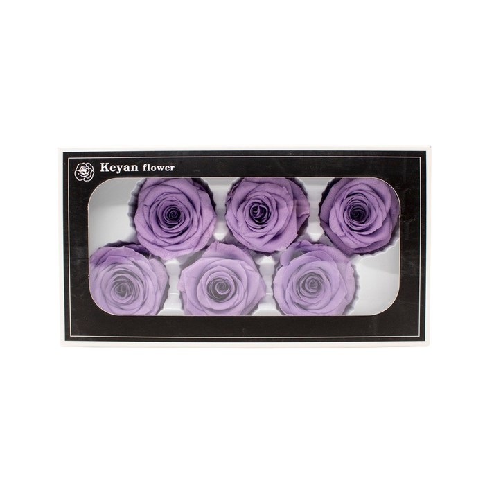 FOREVER ROSES 6PCS LEVANDER 6CM