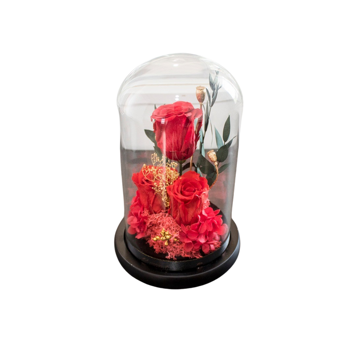 PRESERVE ROSE IN DOME 12X20CM RED