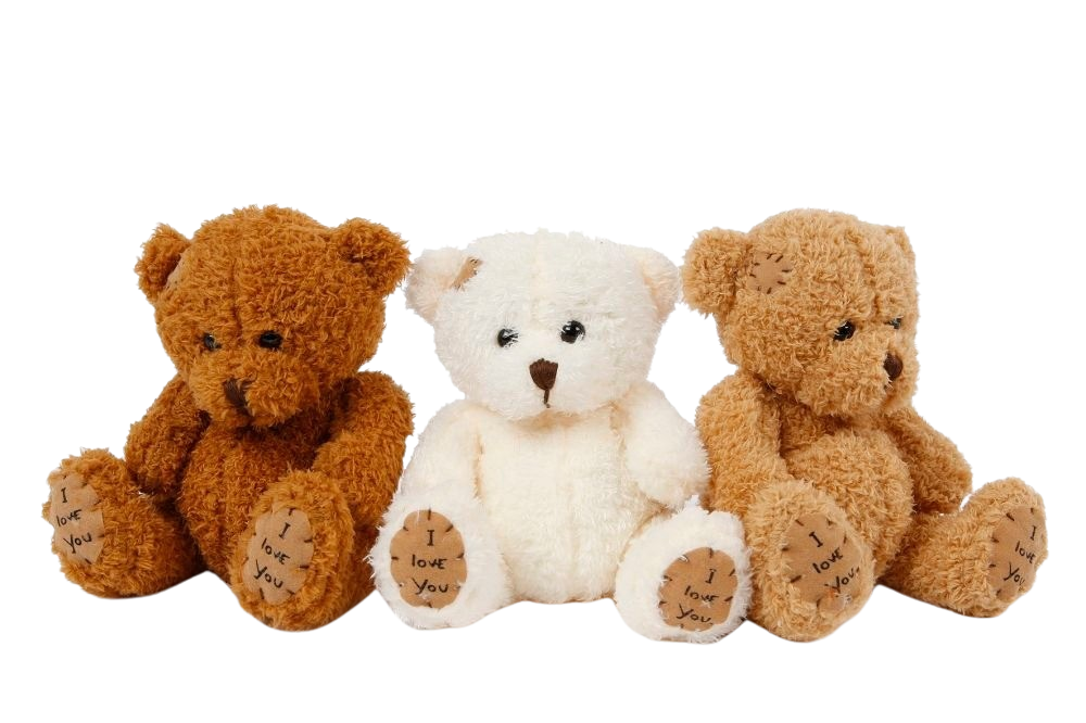 HOME PLUSH BEAR 18CM