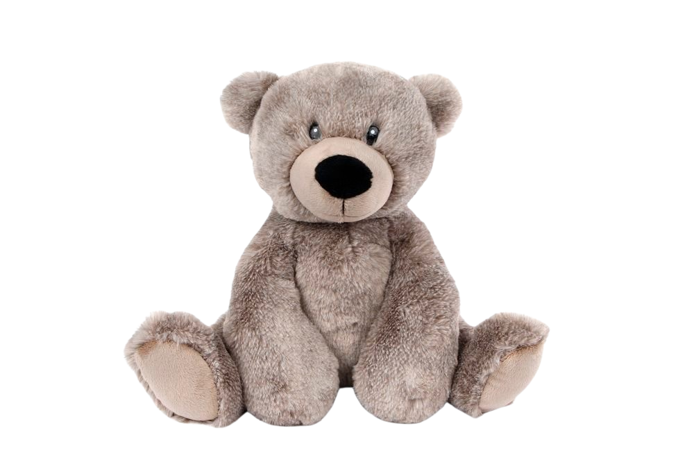 TAKE ME PLUSH BEAR GRAY 24CM