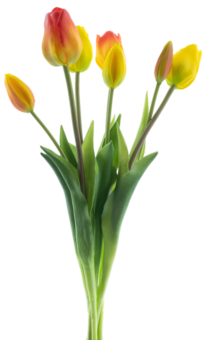 CLASSIC MIX TULIP X7 YEL/ORG 47CM