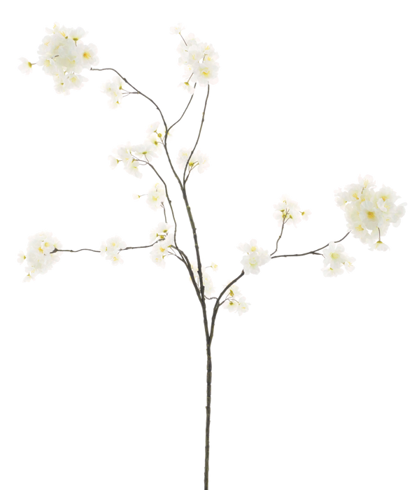 ΚΡΕΜΑ PRUNUS MALAGA 126CM