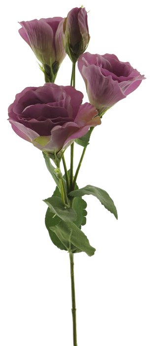 EUSTOMA ALARA SPRAY MAUVE 53CM