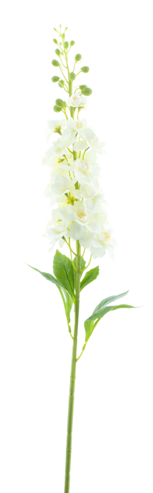 DELPHINIUM SPRAY WHITE 87CM