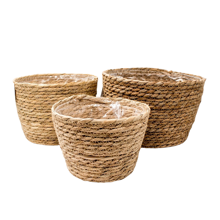 GRASS ROPE BASKET 3 SIZE